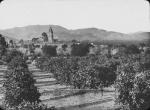 Spanish orchard with town in the background, undated