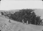 Possible Algerian valley oasis, undated