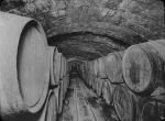 Barrels in a vaulted Spanish tunnel, undated