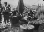 Urban dock scene with workers and fish, undated