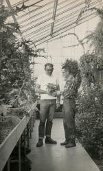 Hidden Lake Garden employees inspect potted plants, 1969