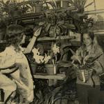 Two women look at orchids at Hidden Lake Gardens, 1973