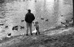 Man and child with ducks on the Red Cedar River