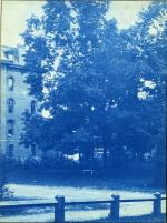 50. Williams Hall and trees, circa 1888.