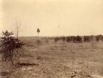 Field in Grayling, Michigan, 1888