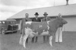 Four men standing with a dairy cow, 1935