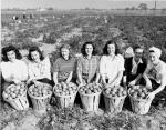 Women's land army at Victory Gardens