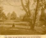 Beal Botanical Garden before planting, circa 1875