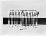 Testing E. coli, 1965