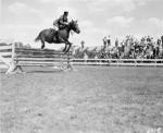 A man and horse jumping in front of spectators