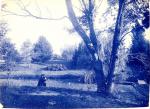 Beal Botanical Garden, circa 1875