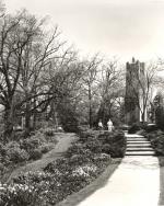 View of Beaumont Tower from the Botanical Gardens, date unknown