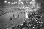 Log sawing contest, 1935