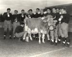 Football team drinking milk, 1937