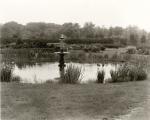 Campus fountain in a pond, date unknown