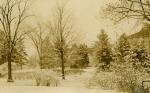 Campus in winter, 1914