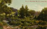 Beal Botanical Garden, 1910