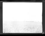 A field (Frank M. Benton papers), circa 1880s