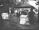 Group standing next to bee hive boxes (Frank M. Benton papers), circa 1880s