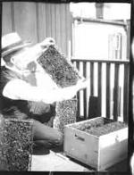 Man holding a bee hive (Frank M. Benton papers), circa 1880s