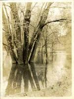 The Red Cedar flooding the banks, taken by Onn Mann Liang, circa 1925